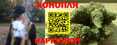 меф Кингисепп