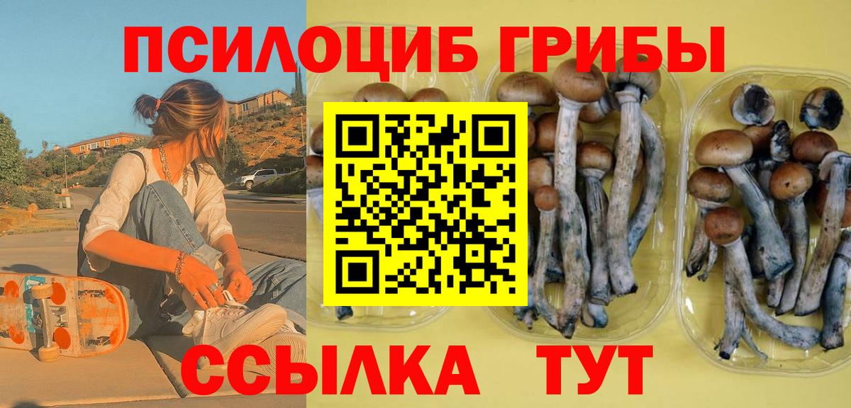 Псилоцибиновые грибы GOLDEN TEACHER Кудрово